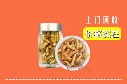收购资讯:迁安市回收散虫草