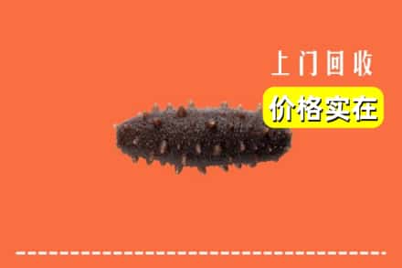 收购资讯:迁安市回收海参