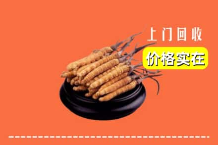 迁安市回收冬虫夏草